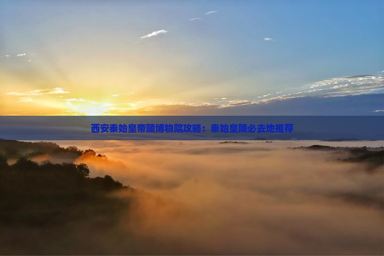 昭通去西安秦始皇帝陵博物院必去地