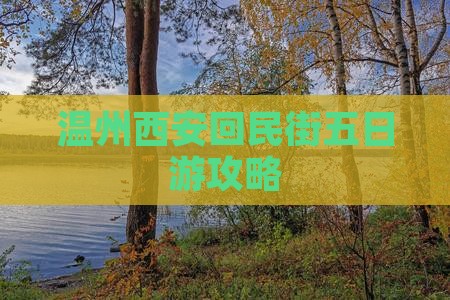 温州去西安回民街五日游