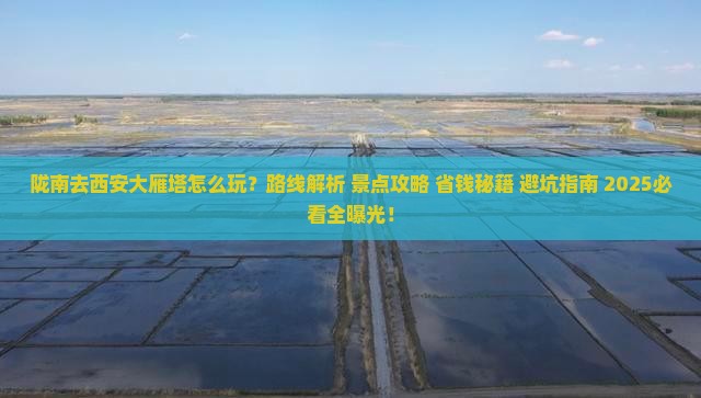 陇南去西安大雁塔哪里玩
