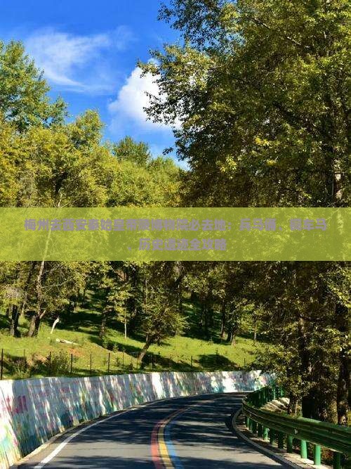 梅州去西安秦始皇帝陵博物院必去地