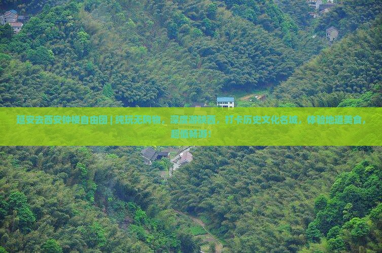 延安去西安钟楼自由团