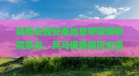 昆明去西安秦始皇帝陵博物院景点