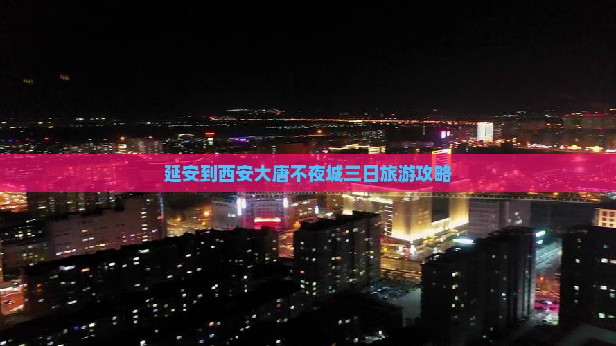 延安到西安大唐不夜城三日游