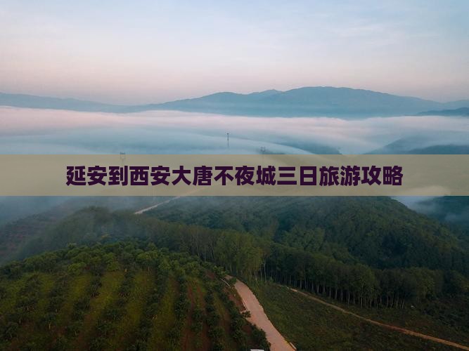 延安到西安大唐不夜城三日游