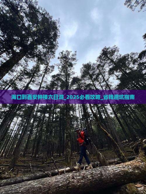 海口到西安钟楼六日游