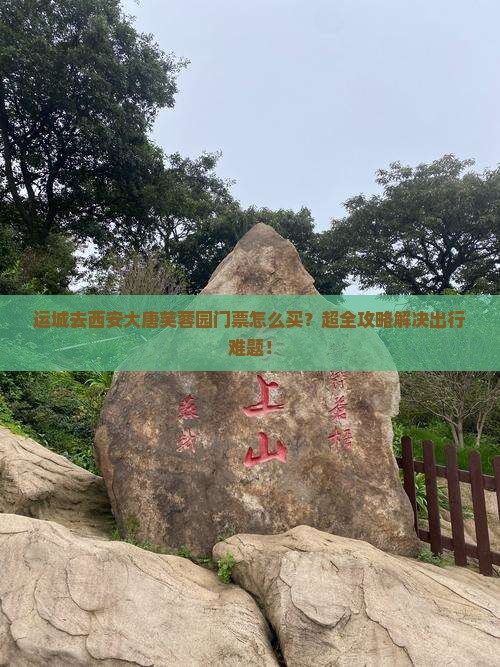 运城去西安大唐芙蓉园门票