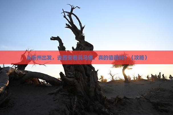 忻州到西安秦始皇帝陵博物院旅游