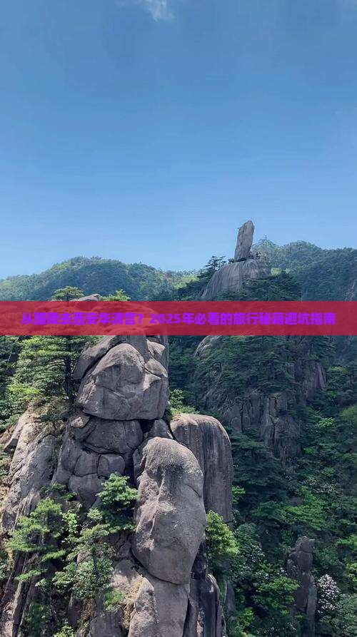 醴陵到西安华清宫旅行社