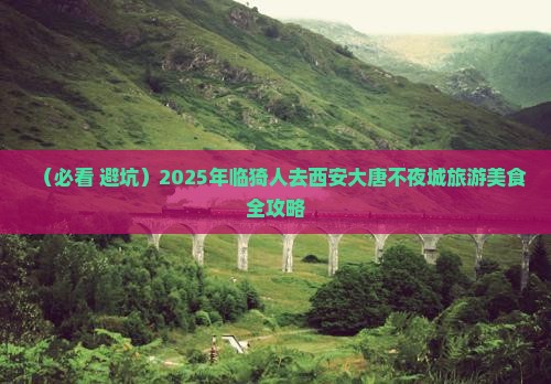 临猗去西安大唐不夜城旅游小吃