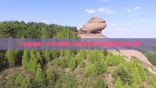 临猗去西安大唐不夜城旅游小吃