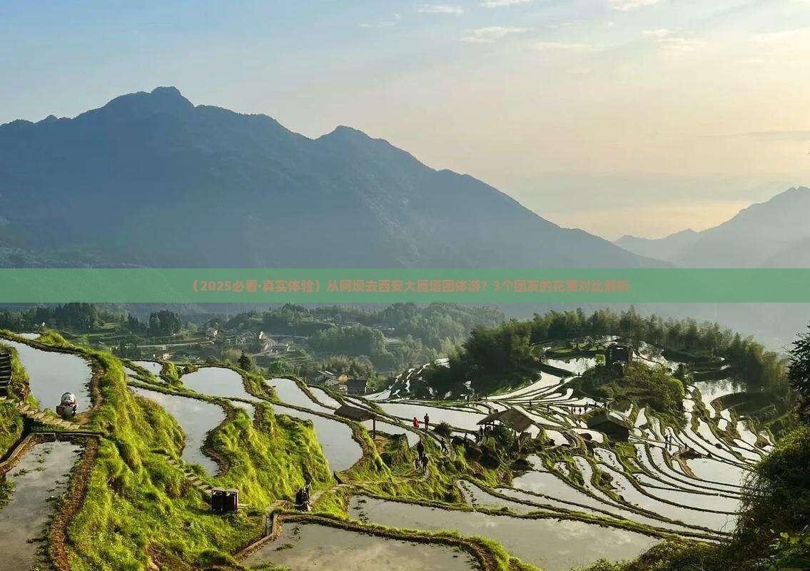 阿坝去西安大雁塔团体旅游