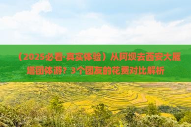 阿坝去西安大雁塔团体旅游