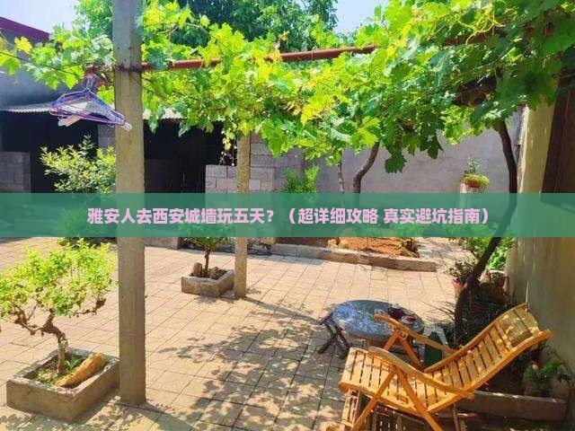 雅安去西安城墙五日游