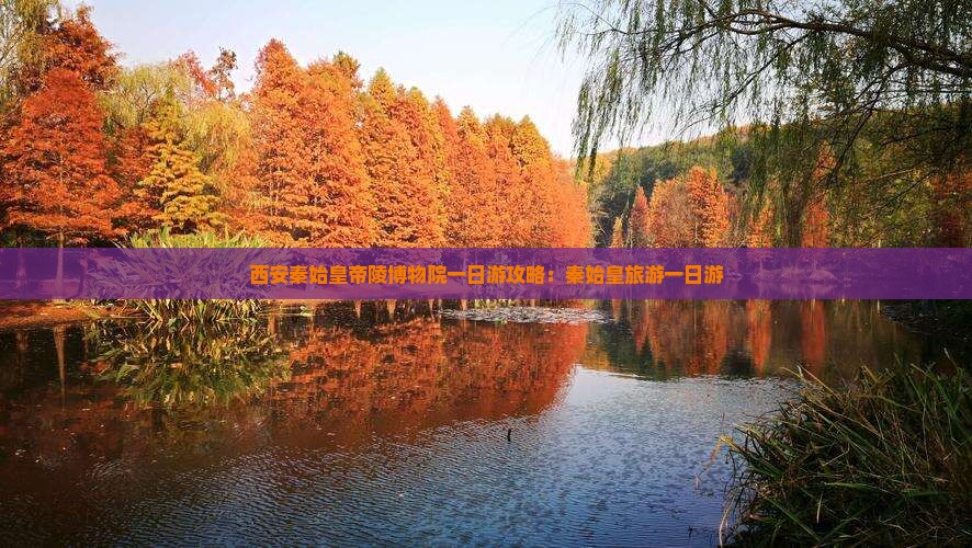 漳州到西安秦始皇帝陵博物院一日游