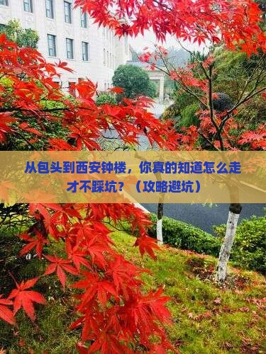 包头到西安钟楼景点