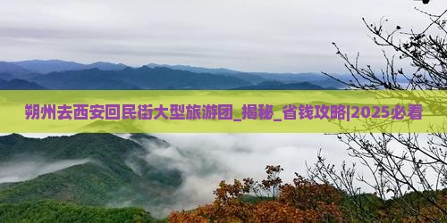 朔州去西安回民街大型旅游团