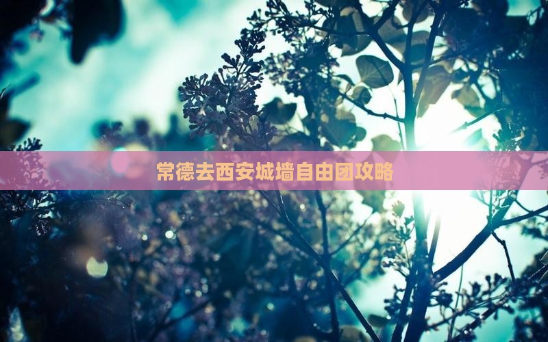 常德去西安城墙自由团