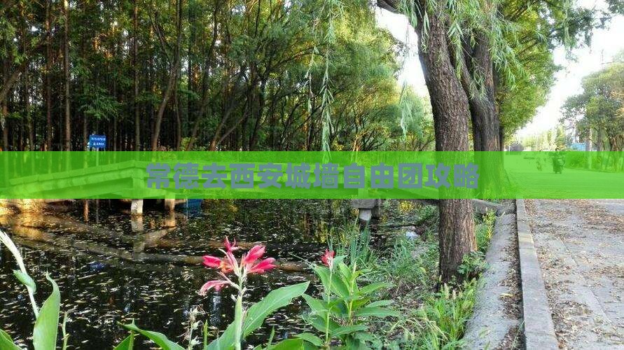 常德去西安城墙自由团