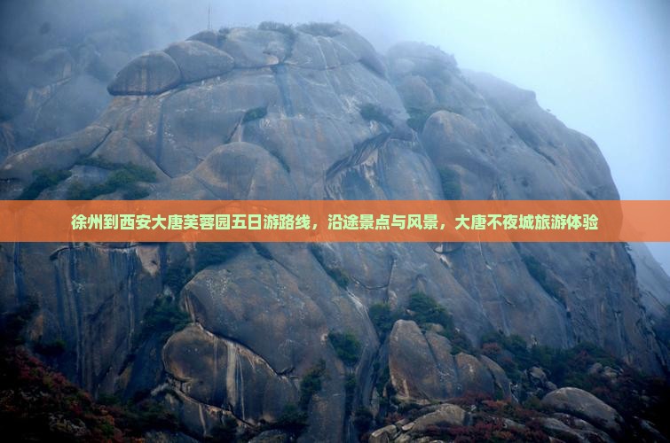 徐州到西安大唐芙蓉园五日游