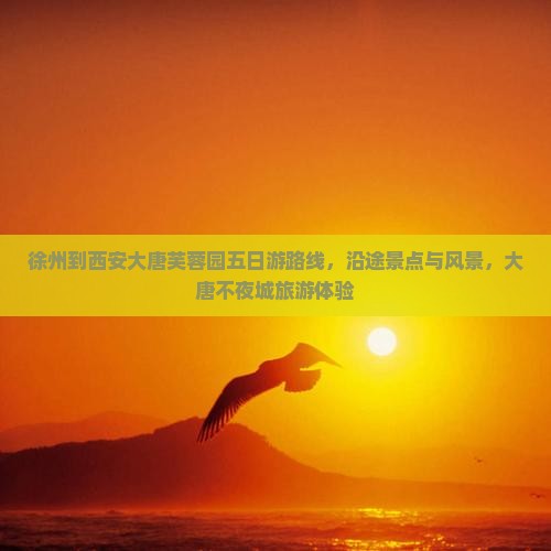 徐州到西安大唐芙蓉园五日游