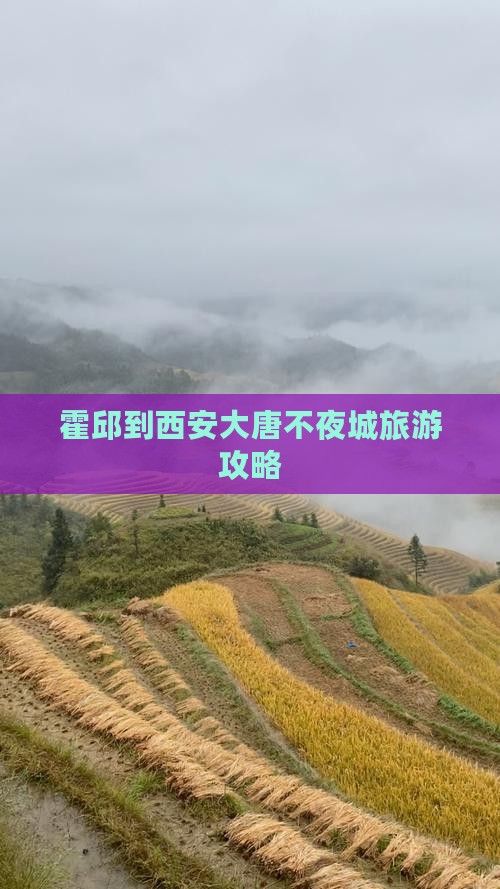 霍邱到西安大唐不夜城门票