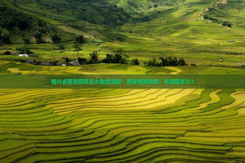 喀什去西安回民街大型旅游团