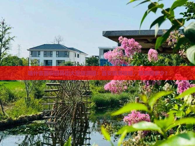 喀什去西安回民街大型旅游团