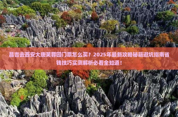 昌吉去西安大唐芙蓉园门票
