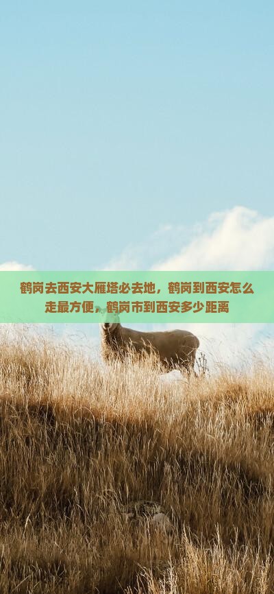 鹤岗去西安大雁塔必去地