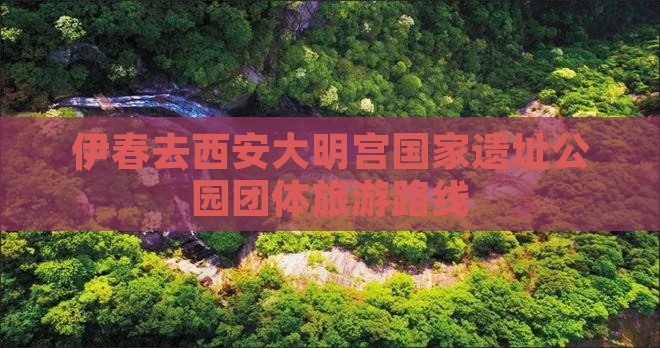 伊春去西安大明宫国家遗址公园团体旅游