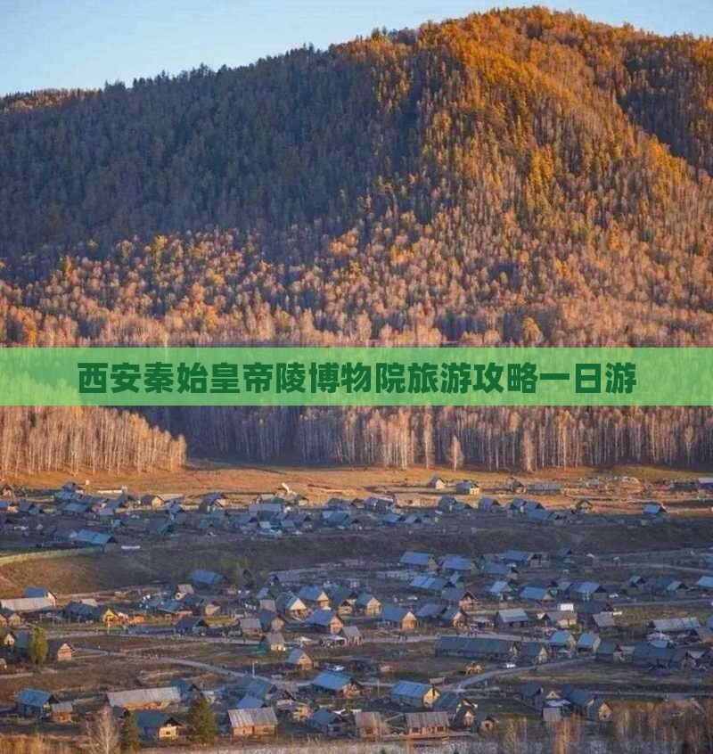 宁德去西安秦始皇帝陵博物院一日游