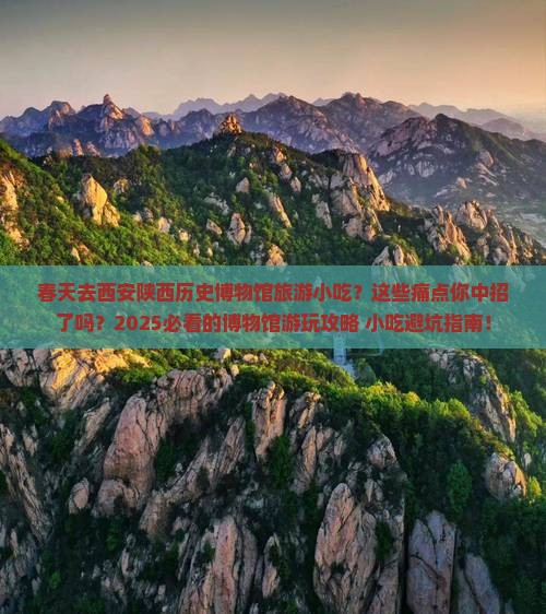 春天去西安陕西历史博物馆旅游小吃