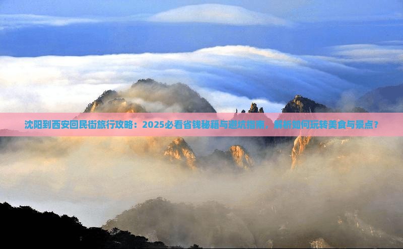 沈阳到西安回民街旅行社