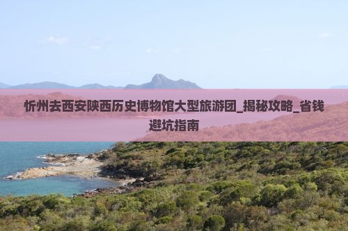 忻州去西安陕西历史博物馆大型旅游团