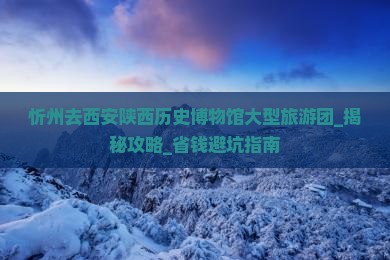 忻州去西安陕西历史博物馆大型旅游团