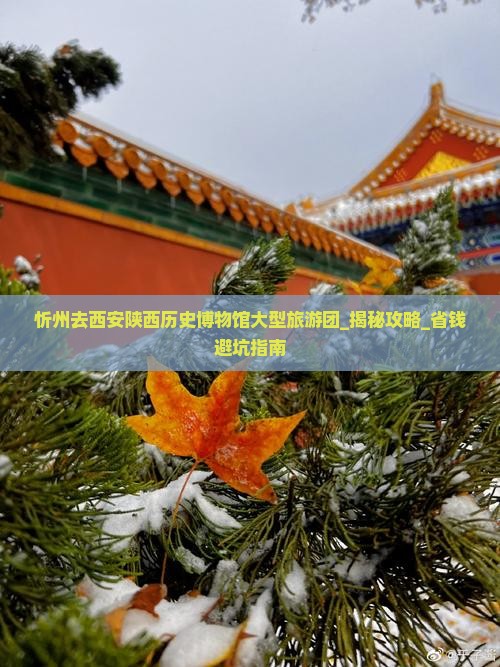 忻州去西安陕西历史博物馆大型旅游团
