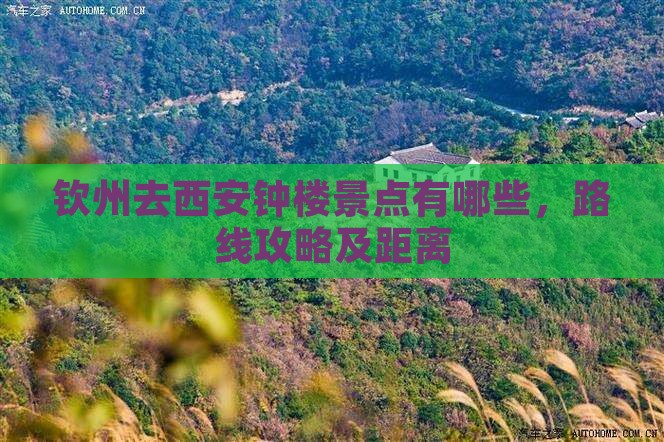 钦州去西安钟楼景点