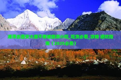 湘潭去西安大唐不夜城旅游小吃