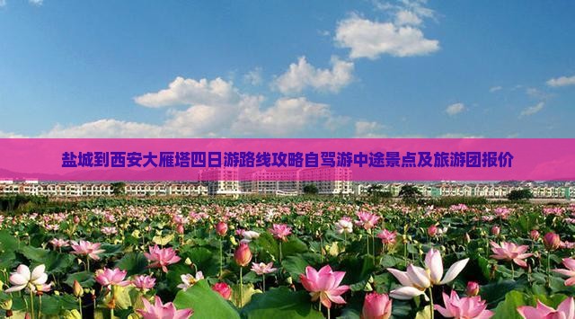 盐城到西安大雁塔四日游