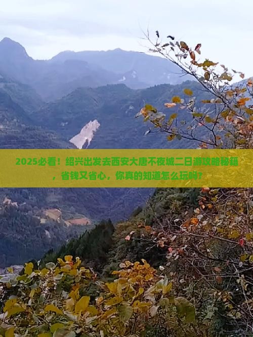 绍兴到西安大唐不夜城二日游