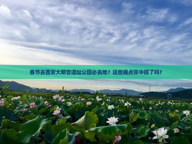 春节去西安大明宫国家遗址公园必去地