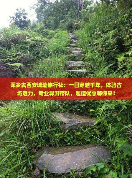 萍乡去西安城墙旅行社