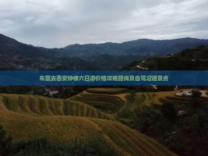 东营去西安钟楼六日游
