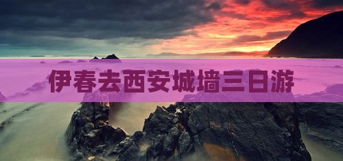 伊春去西安城墙三日游