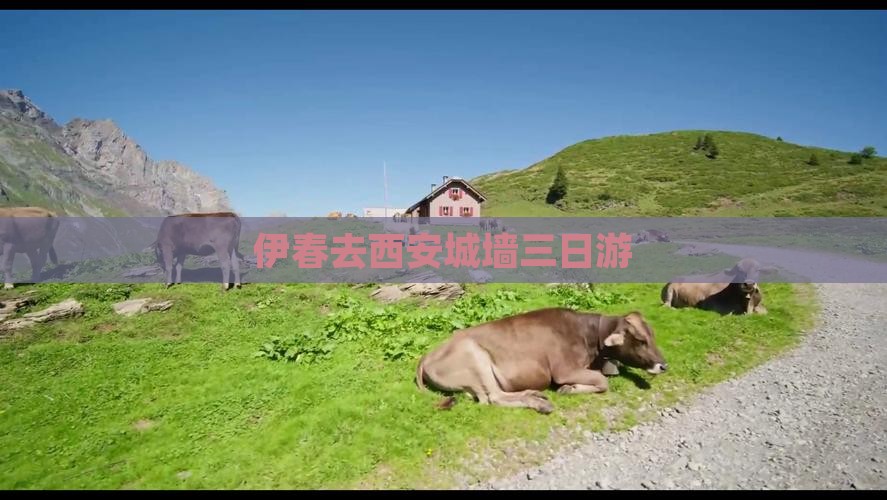 伊春去西安城墙三日游