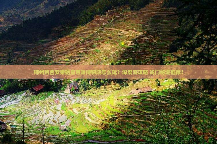 郴州到西安秦始皇帝陵博物院哪里玩