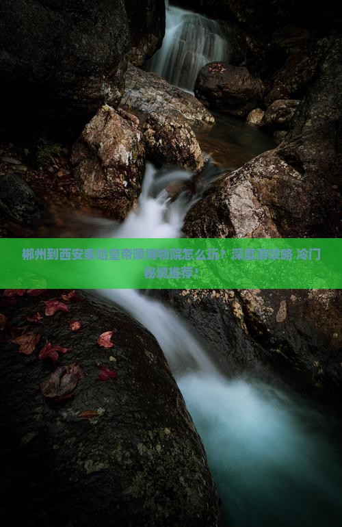 郴州到西安秦始皇帝陵博物院哪里玩