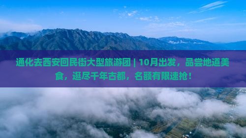 通化去西安回民街大型旅游团