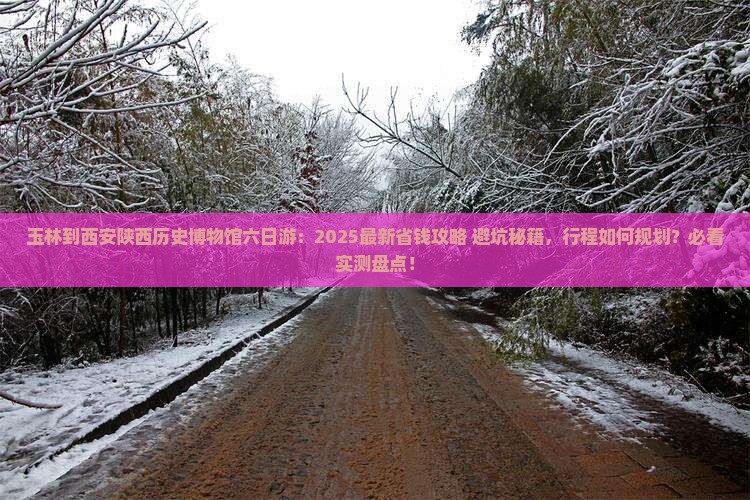 玉林到西安陕西历史博物馆六日游