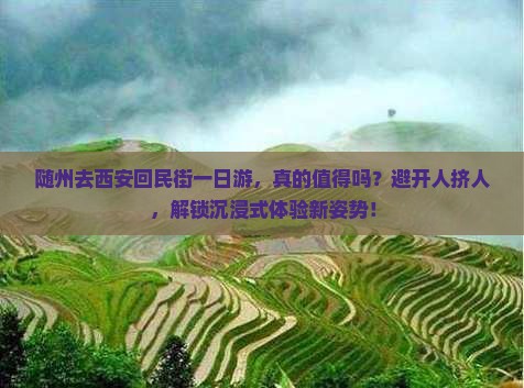 随州去西安回民街一日游